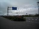 DSCN0079