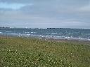 DSCN0080
