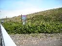 DSCN0084