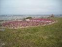 DSCN0092