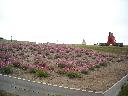 DSCN0098