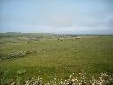 DSCN0014