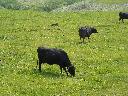 DSCN0016