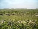 DSCN0024
