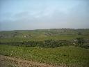 DSCN0027
