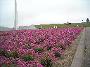 DSCN0034