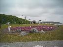 DSCN0050