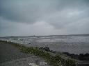 DSCN0051