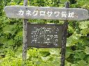 DSCN0058