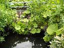 DSCN0059
