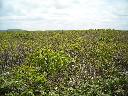 DSCN0064