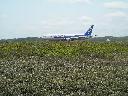 DSCN0065