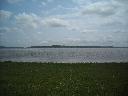 DSCN0068