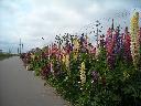 DSCN0070