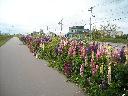 DSCN0071