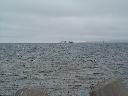 DSCN0078