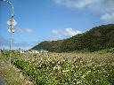 DSCN0089