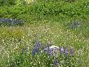 DSCN0098