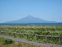DSCN0134