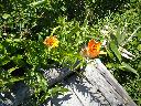 DSCN0142