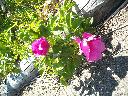 DSCN0148