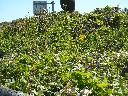 DSCN0149