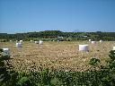 DSCN0153