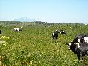 DSCN0155