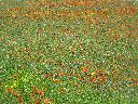 DSCN0159