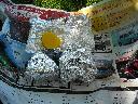 DSCN0161