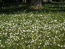 DSCN0166