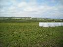 DSCN0173