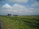 DSCN0175