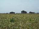 DSCN0177