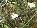DSCN0178