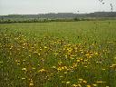 DSCN0186