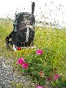 DSCN0194