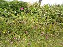 DSCN0195