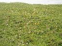 DSCN0205