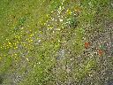 DSCN0211