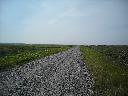 DSCN0228