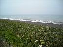 DSCN0231