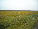 DSCN0232