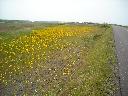 DSCN0233