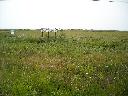 DSCN0237