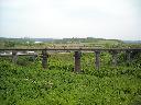 DSCN0238