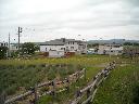 DSCN0255