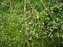 DSCN0260