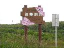 DSCN0265