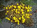 DSCN0268